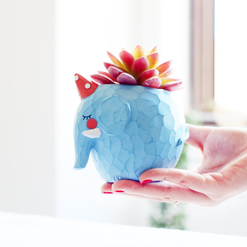 Cute Animals Succulent Planter - Big SavingZ