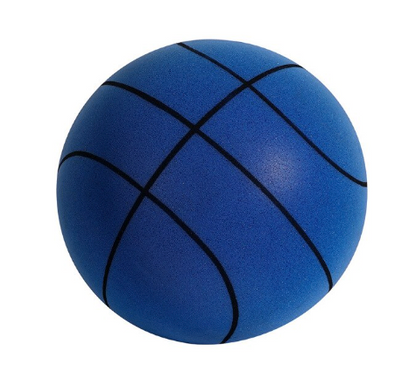 Silent Indoor Basketball - Big SavingZ