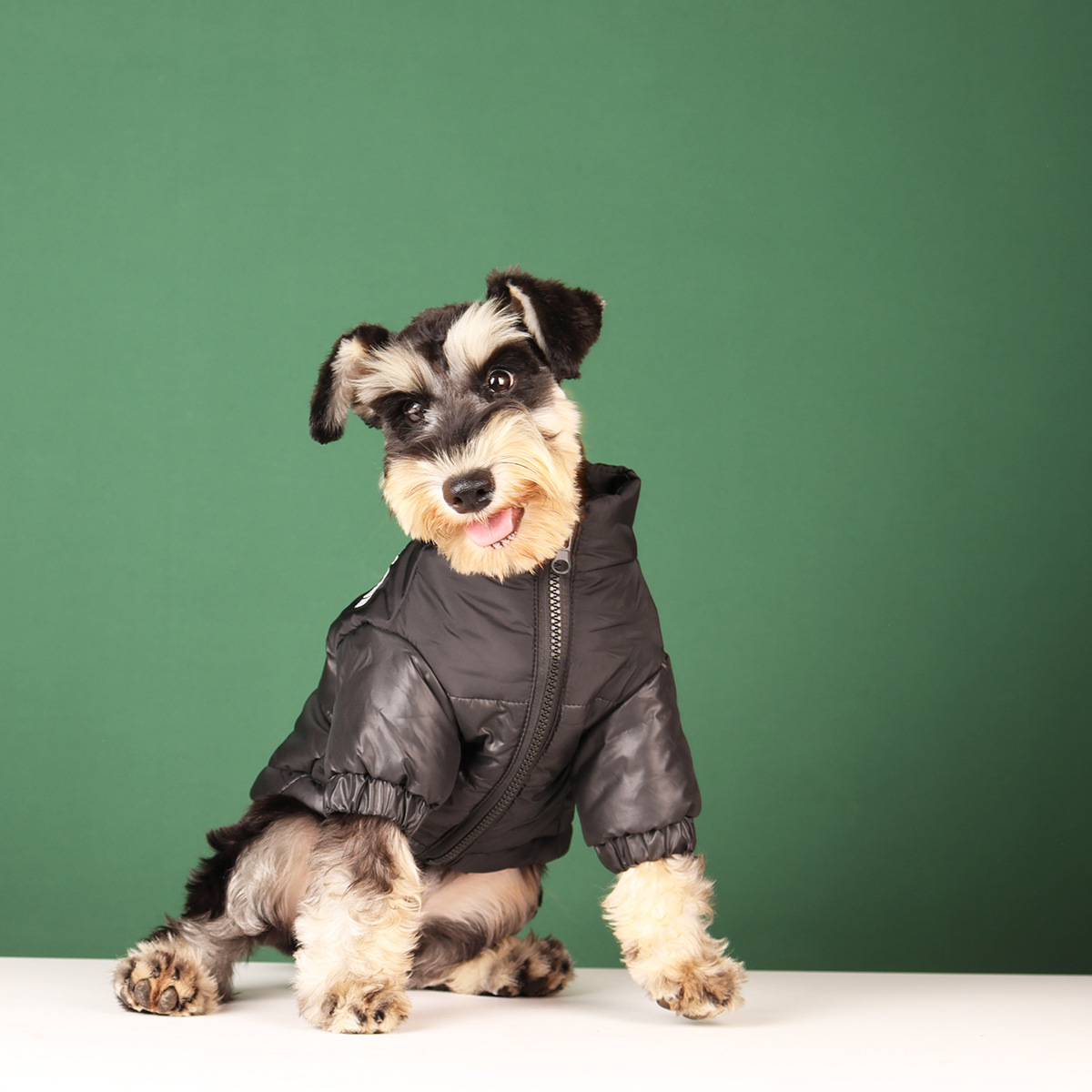 Dog Winter Jacket - Big SavingZ