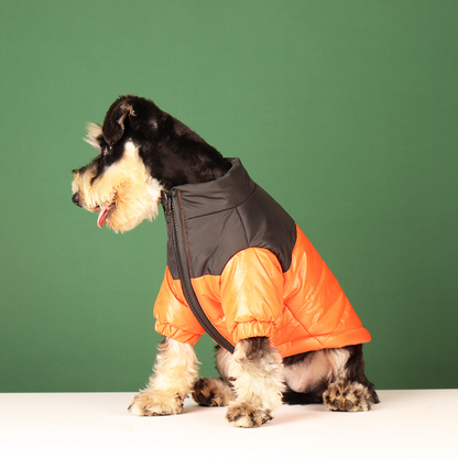 Dog Winter Jacket - Big SavingZ