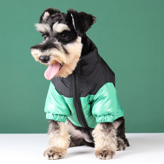 Dog Winter Jacket - Big SavingZ